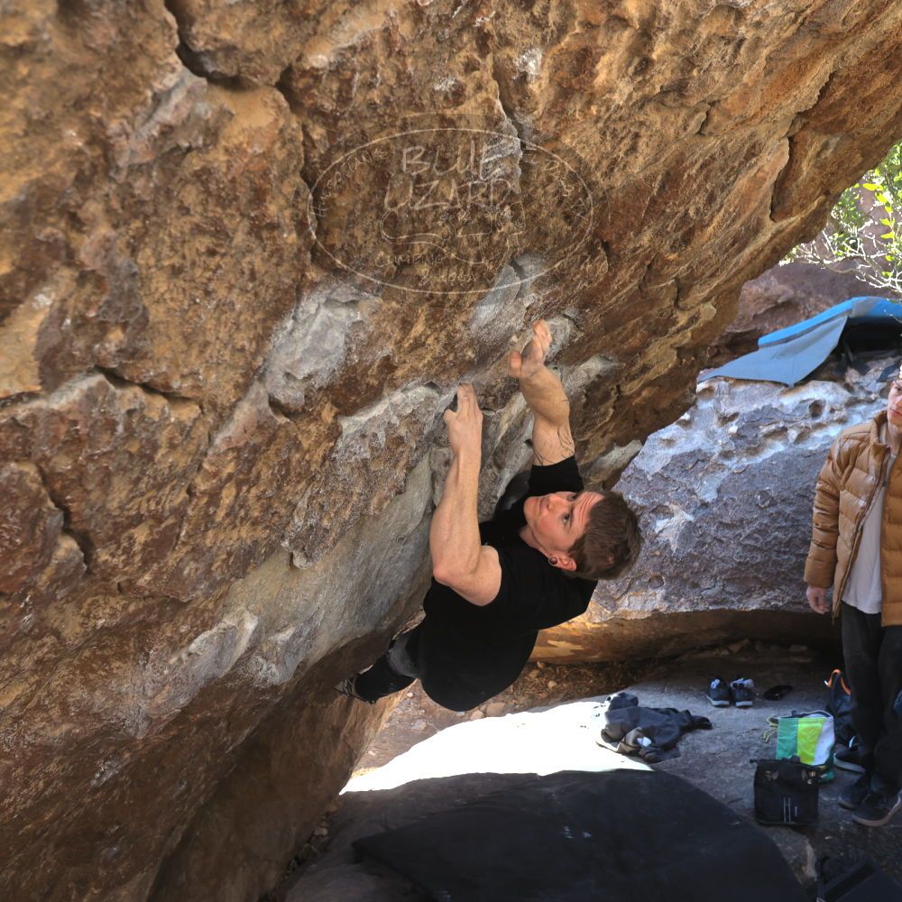 Filename: SRM_20230129_1035190.jpg
Aperture: f/5.6
Shutter Speed: 1/320
Body: Canon EOS R6
Lens: Canon EF 16-35mm f/2.8 L