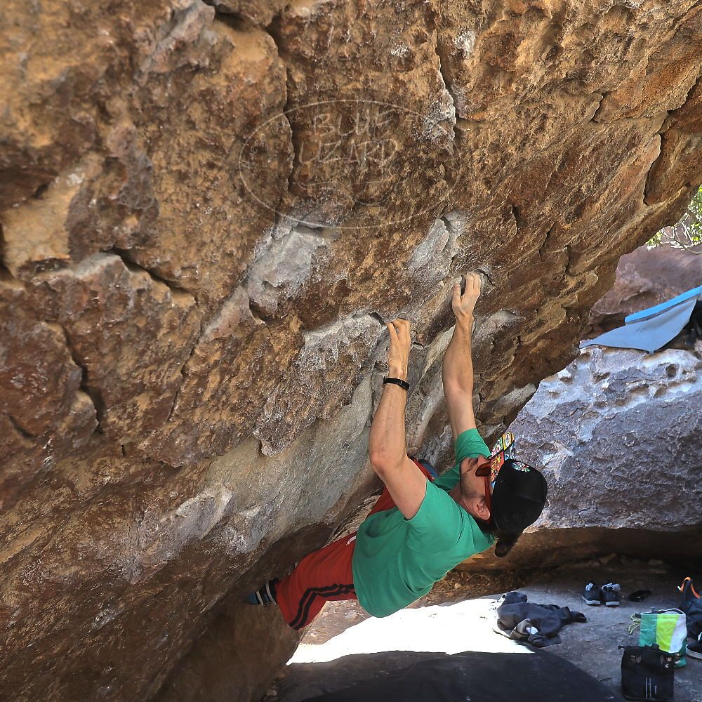 

Filename: SRM_20230129_1036400.jpg
Aperture: f/5.6
Shutter Speed: 1/320
Body: Canon EOS R6
Lens: Canon EF 16-35mm f/2.8 L