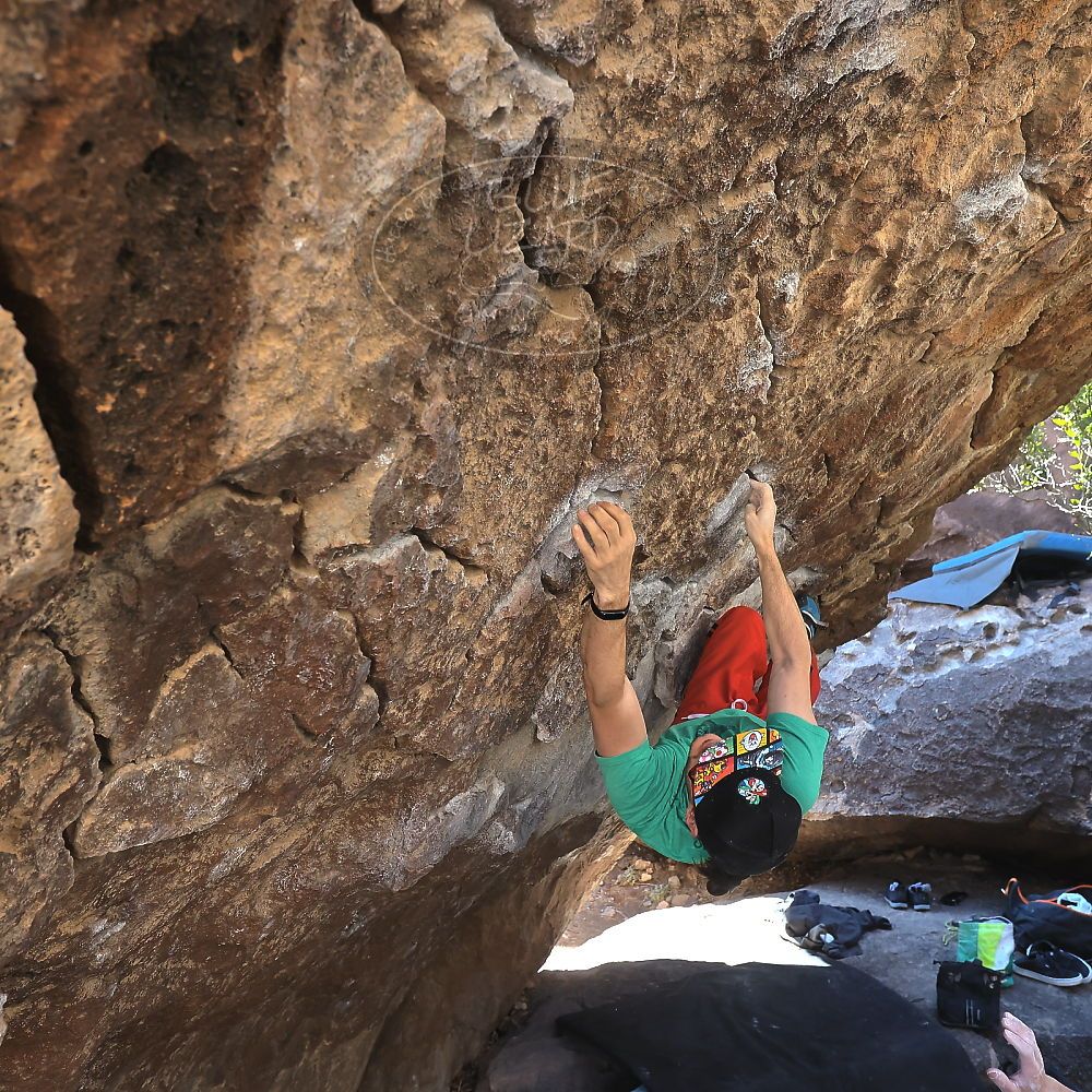 Filename: SRM_20230129_1036470.jpg
Aperture: f/5.6
Shutter Speed: 1/320
Body: Canon EOS R6
Lens: Canon EF 16-35mm f/2.8 L