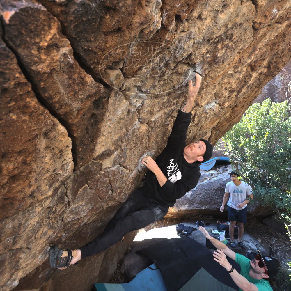 Filename: SRM_20230129_1040041.jpg
Aperture: f/5.6
Shutter Speed: 1/320
Body: Canon EOS R6
Lens: Canon EF 16-35mm f/2.8 L