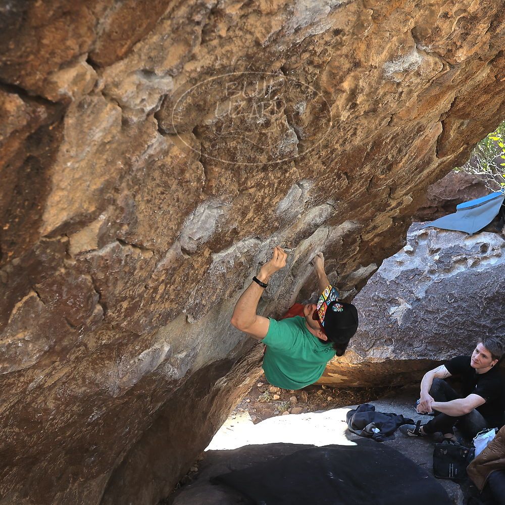 Filename: SRM_20230129_1041100.jpg
Aperture: f/5.6
Shutter Speed: 1/320
Body: Canon EOS R6
Lens: Canon EF 16-35mm f/2.8 L