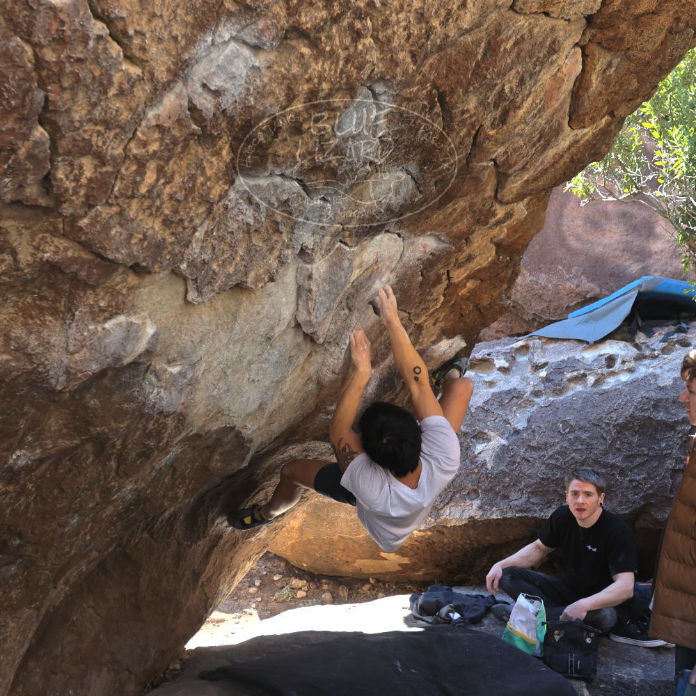 Filename: SRM_20230129_1041580.jpg
Aperture: f/5.6
Shutter Speed: 1/320
Body: Canon EOS R6
Lens: Canon EF 16-35mm f/2.8 L