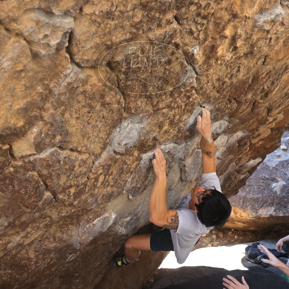 Filename: SRM_20230129_1042140.jpg
Aperture: f/5.6
Shutter Speed: 1/320
Body: Canon EOS R6
Lens: Canon EF 16-35mm f/2.8 L