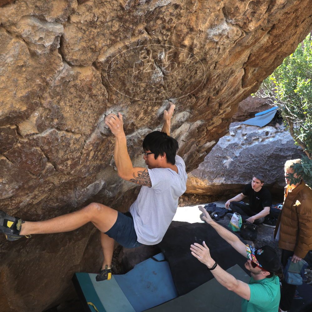 Filename: SRM_20230129_1042280.jpg
Aperture: f/5.6
Shutter Speed: 1/320
Body: Canon EOS R6
Lens: Canon EF 16-35mm f/2.8 L