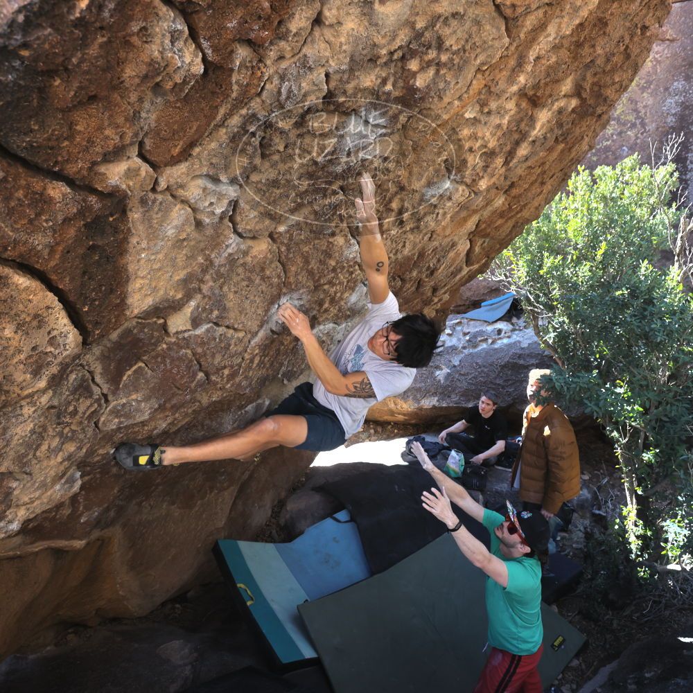 Filename: SRM_20230129_1042340.jpg
Aperture: f/5.6
Shutter Speed: 1/320
Body: Canon EOS R6
Lens: Canon EF 16-35mm f/2.8 L