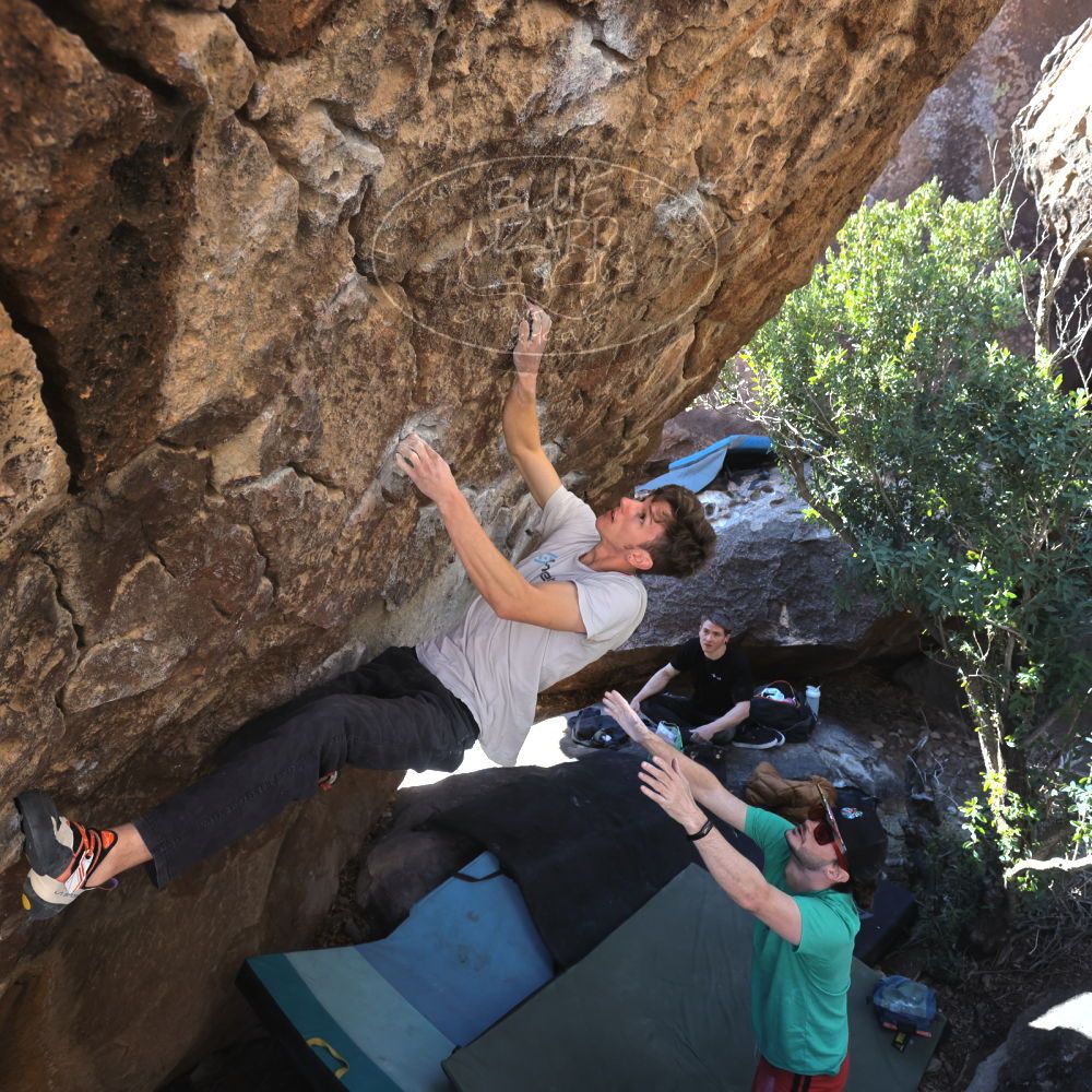 

Filename: SRM_20230129_1043450.jpg
Aperture: f/5.6
Shutter Speed: 1/320
Body: Canon EOS R6
Lens: Canon EF 16-35mm f/2.8 L