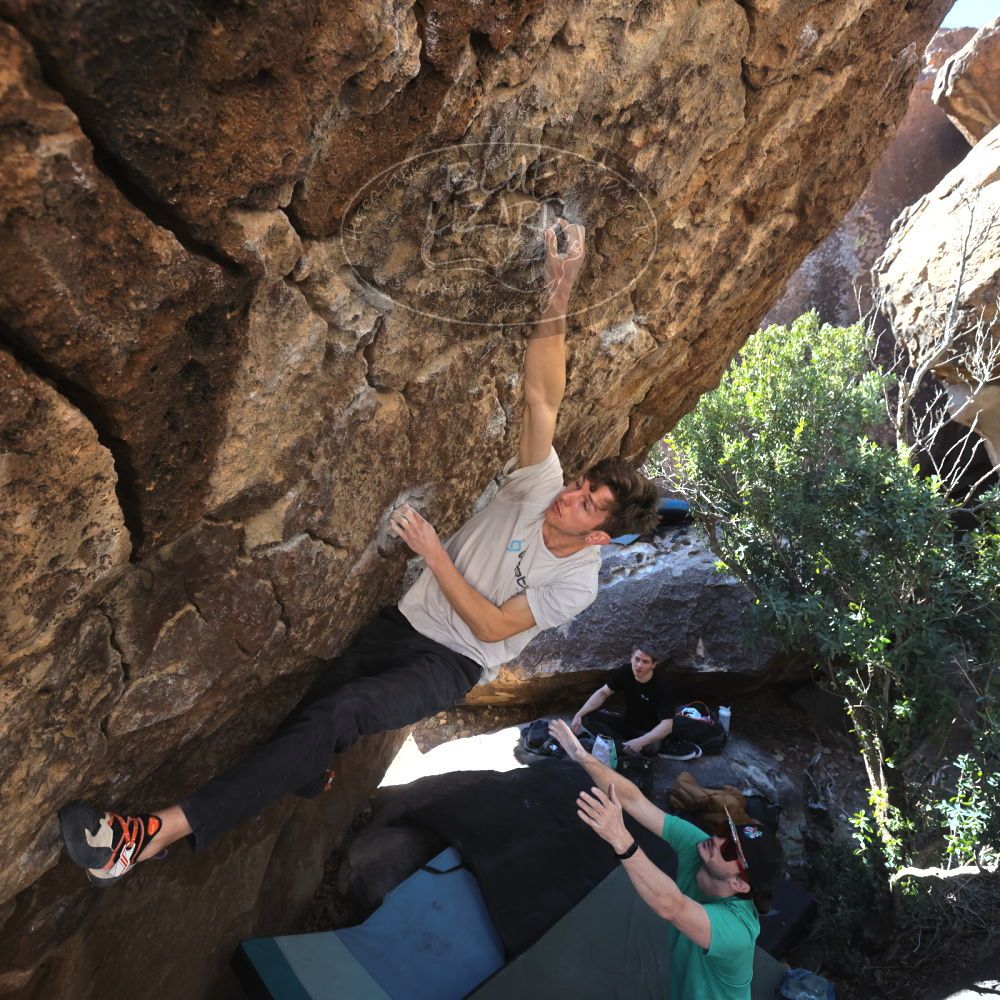 Filename: SRM_20230129_1043470.jpg
Aperture: f/5.6
Shutter Speed: 1/320
Body: Canon EOS R6
Lens: Canon EF 16-35mm f/2.8 L