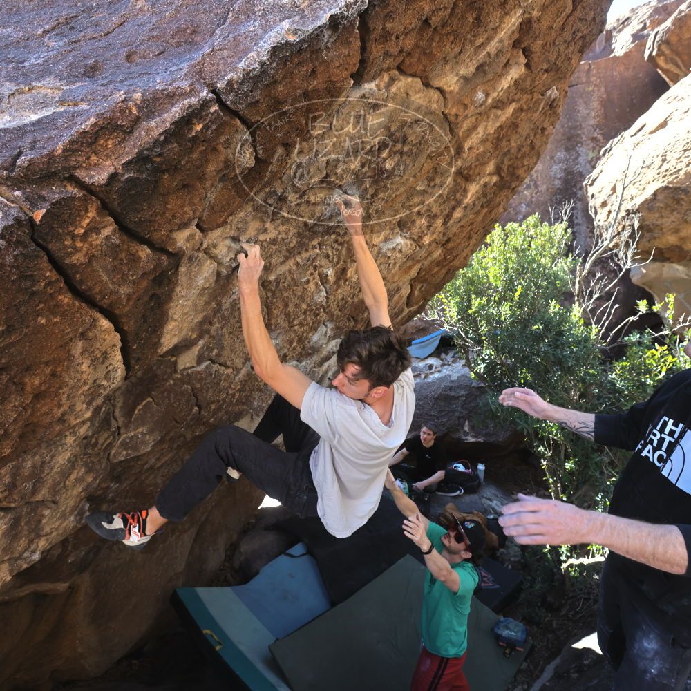 Filename: SRM_20230129_1043520.jpg
Aperture: f/5.6
Shutter Speed: 1/320
Body: Canon EOS R6
Lens: Canon EF 16-35mm f/2.8 L