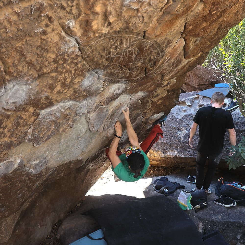 Filename: SRM_20230129_1046310.jpg
Aperture: f/5.6
Shutter Speed: 1/320
Body: Canon EOS R6
Lens: Canon EF 16-35mm f/2.8 L