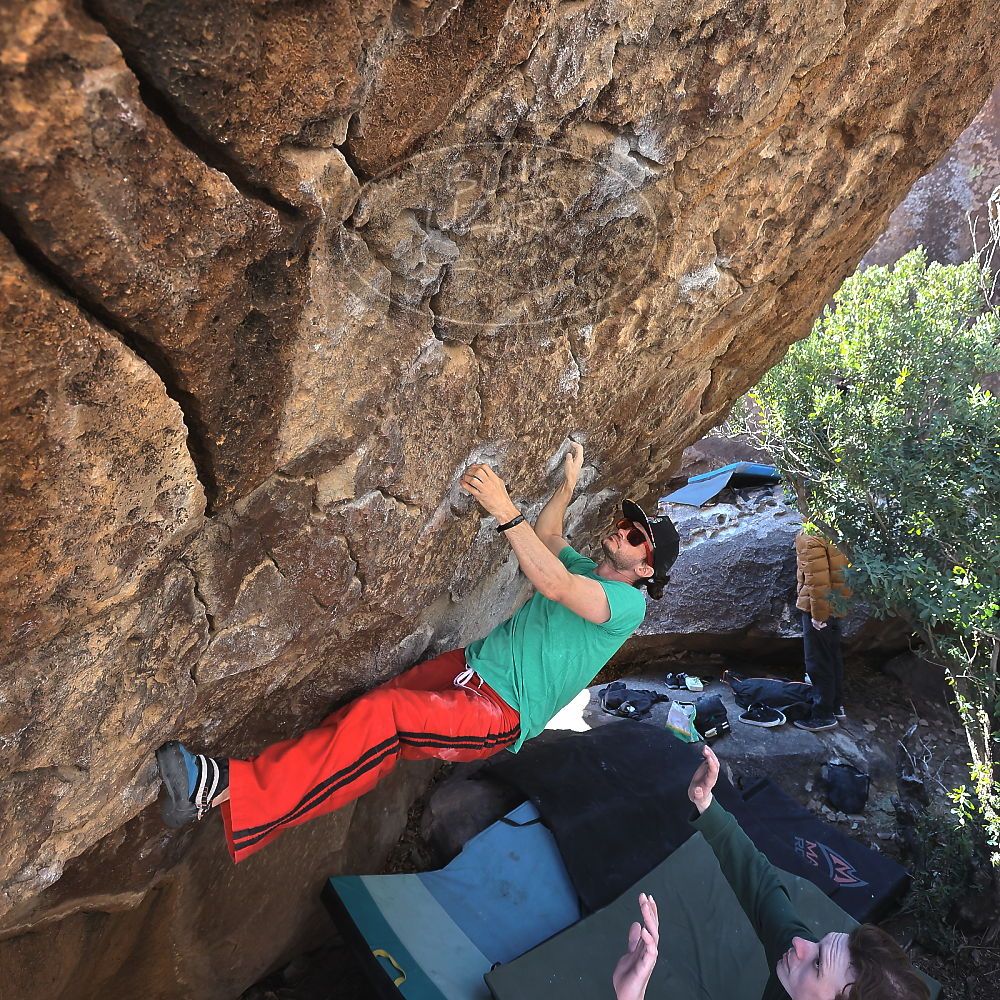 Filename: SRM_20230129_1046520.jpg
Aperture: f/5.6
Shutter Speed: 1/320
Body: Canon EOS R6
Lens: Canon EF 16-35mm f/2.8 L