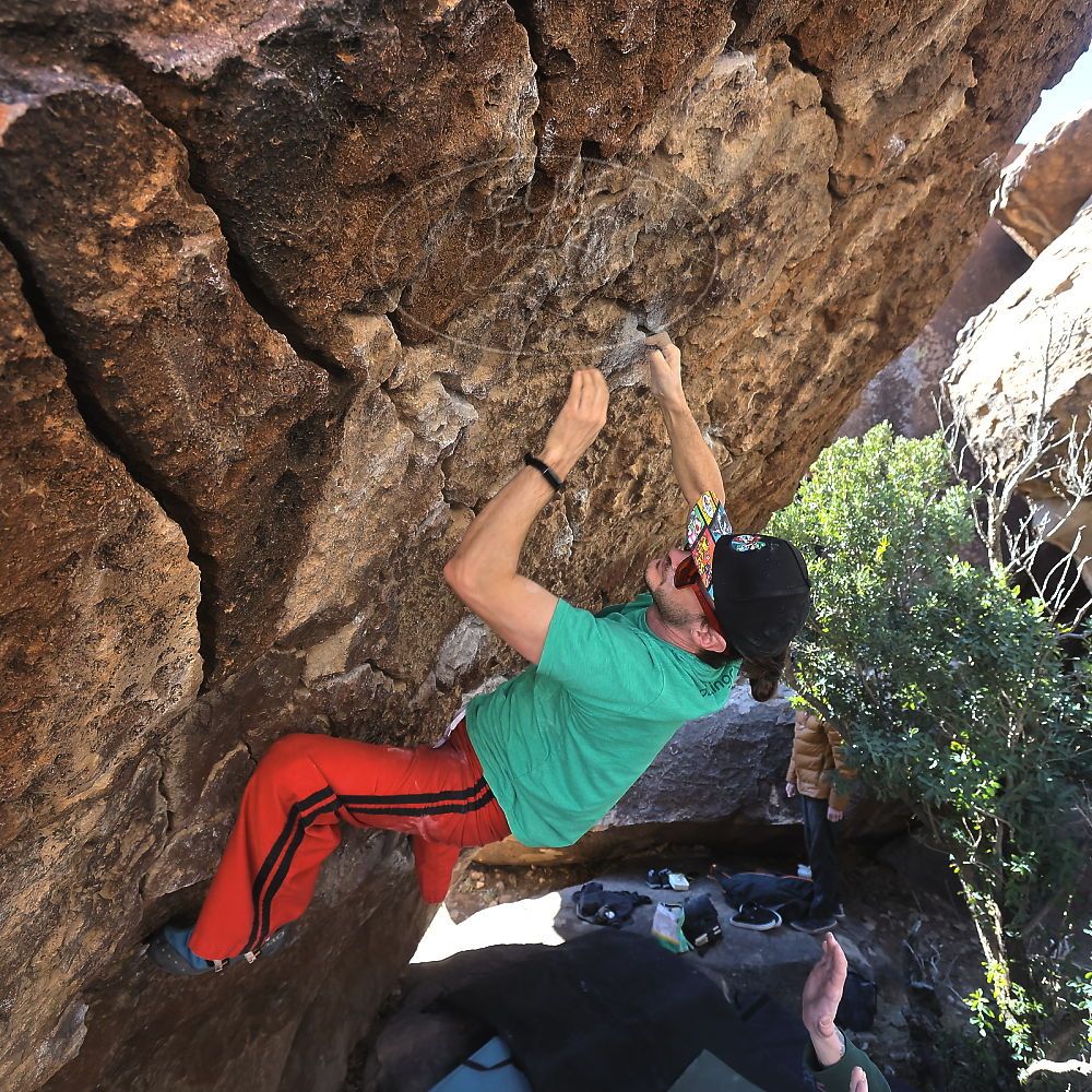 Filename: SRM_20230129_1047190.jpg
Aperture: f/5.6
Shutter Speed: 1/320
Body: Canon EOS R6
Lens: Canon EF 16-35mm f/2.8 L