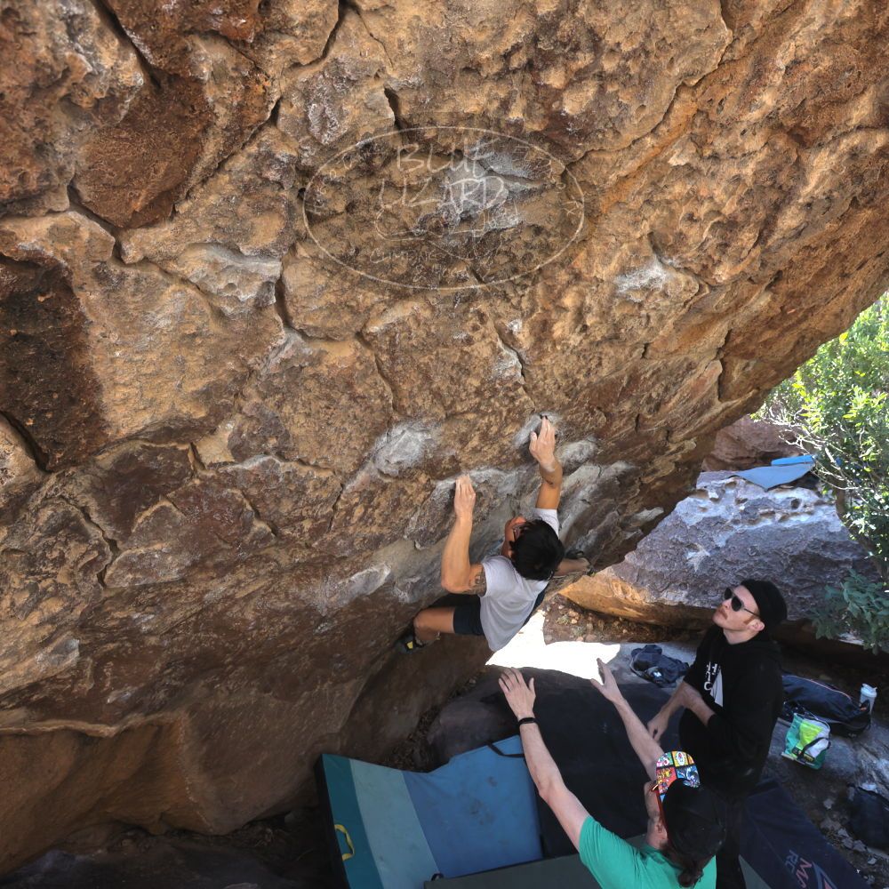 Filename: SRM_20230129_1049230.jpg
Aperture: f/5.6
Shutter Speed: 1/320
Body: Canon EOS R6
Lens: Canon EF 16-35mm f/2.8 L