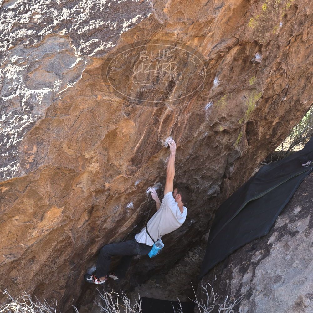 Filename: SRM_20230129_1115520.jpg
Aperture: f/5.6
Shutter Speed: 1/320
Body: Canon EOS R6
Lens: Canon EF 16-35mm f/2.8 L