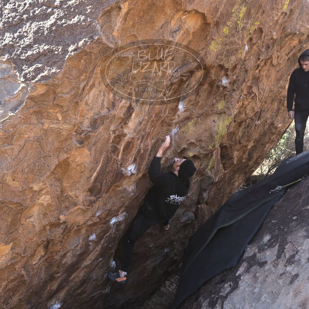 Filename: SRM_20230129_1118180.jpg
Aperture: f/5.6
Shutter Speed: 1/320
Body: Canon EOS R6
Lens: Canon EF 16-35mm f/2.8 L