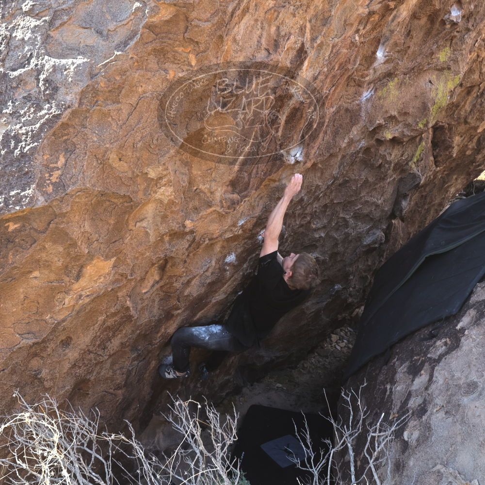 Filename: SRM_20230129_1122310.jpg
Aperture: f/5.6
Shutter Speed: 1/320
Body: Canon EOS R6
Lens: Canon EF 16-35mm f/2.8 L