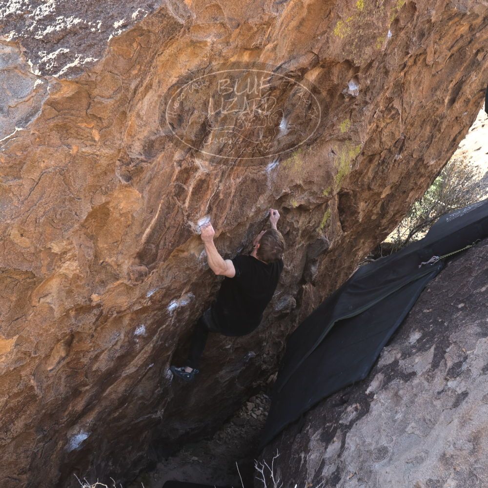 Filename: SRM_20230129_1122420.jpg
Aperture: f/5.6
Shutter Speed: 1/320
Body: Canon EOS R6
Lens: Canon EF 16-35mm f/2.8 L