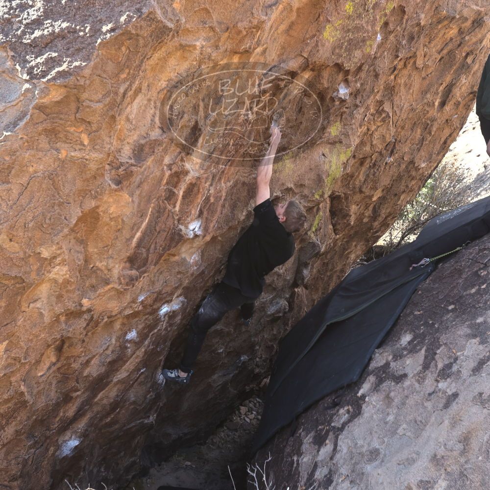 Filename: SRM_20230129_1122440.jpg
Aperture: f/5.6
Shutter Speed: 1/320
Body: Canon EOS R6
Lens: Canon EF 16-35mm f/2.8 L