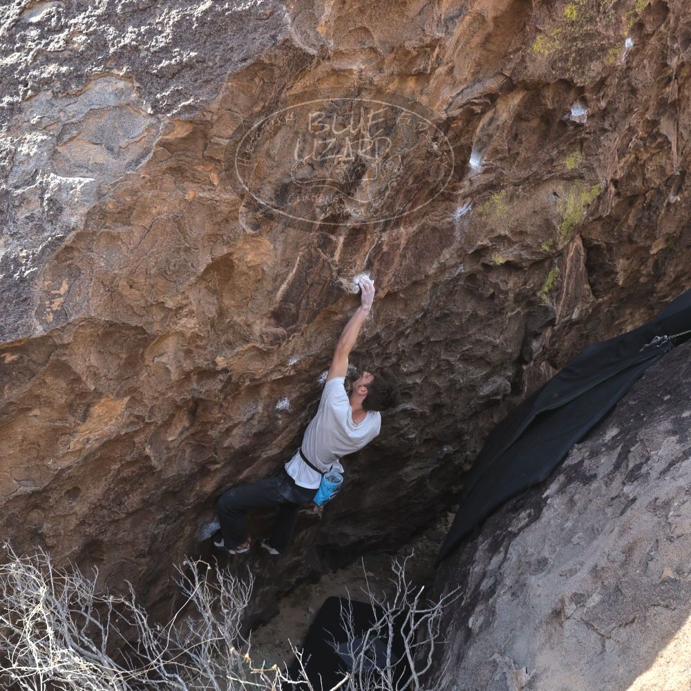 Filename: SRM_20230129_1131560.jpg
Aperture: f/5.6
Shutter Speed: 1/1000
Body: Canon EOS R6
Lens: Canon EF 16-35mm f/2.8 L