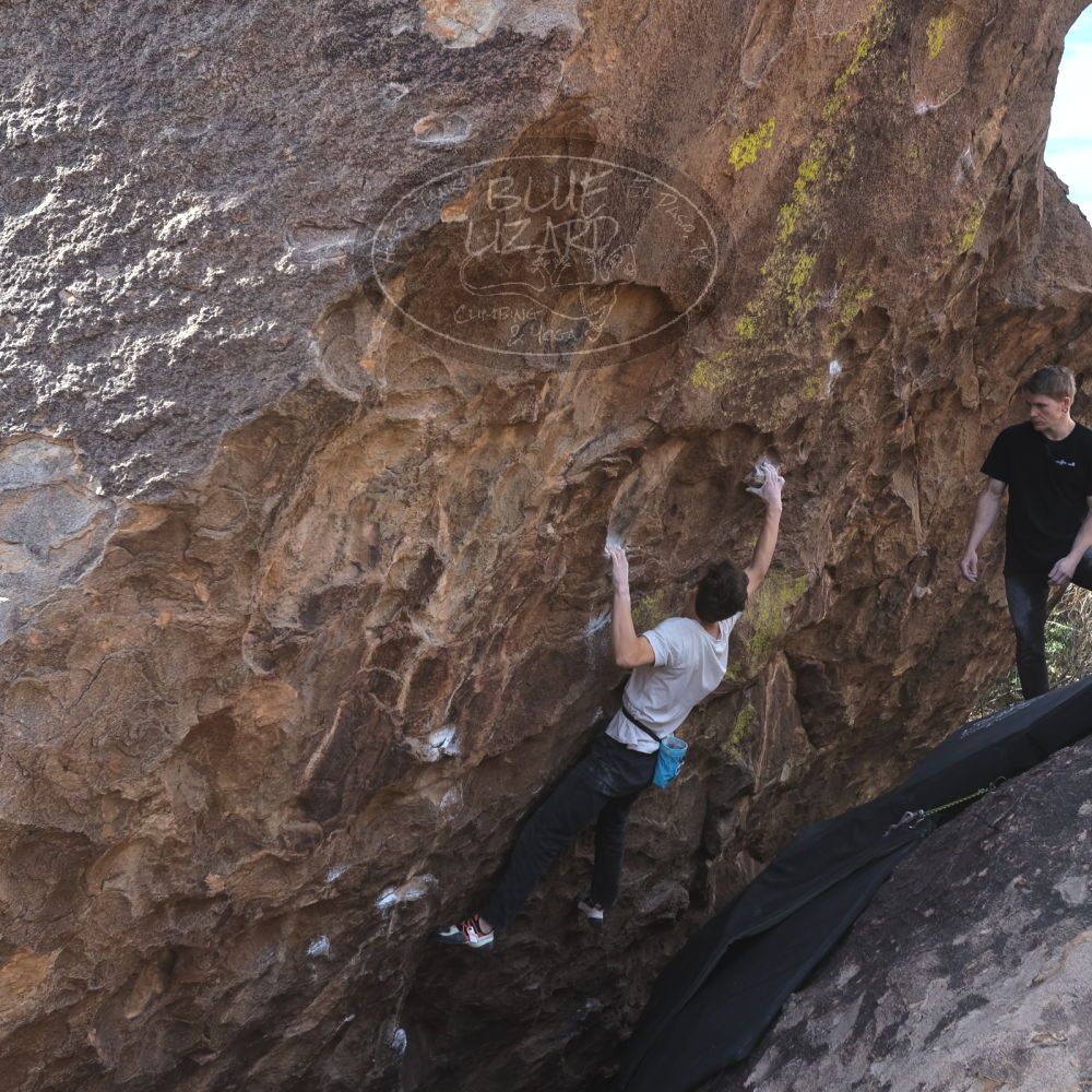 Filename: SRM_20230129_1132110.jpg
Aperture: f/5.6
Shutter Speed: 1/1000
Body: Canon EOS R6
Lens: Canon EF 16-35mm f/2.8 L