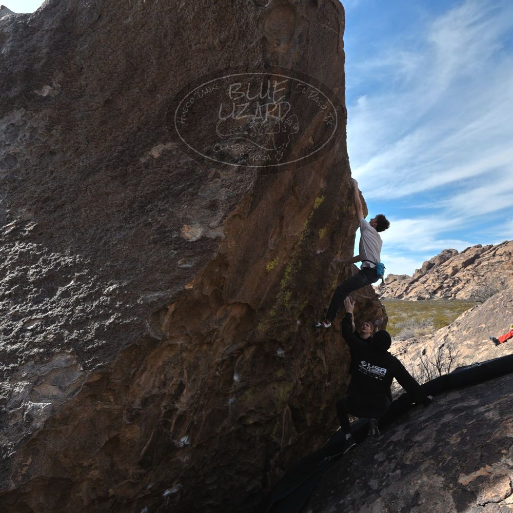 Filename: SRM_20230129_1132404.jpg
Aperture: f/5.6
Shutter Speed: 1/1000
Body: Canon EOS R6
Lens: Canon EF 16-35mm f/2.8 L