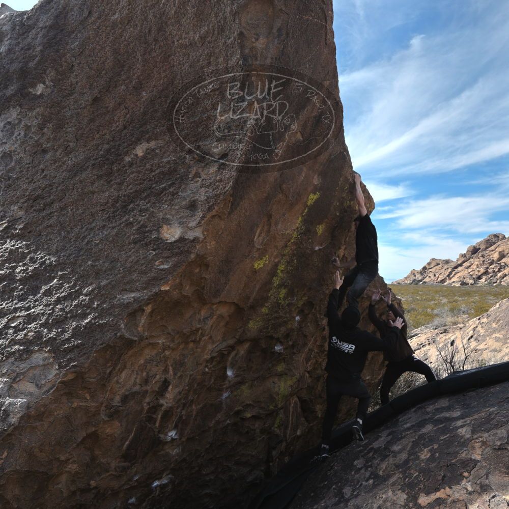 Filename: SRM_20230129_1134364.jpg
Aperture: f/5.6
Shutter Speed: 1/1000
Body: Canon EOS R6
Lens: Canon EF 16-35mm f/2.8 L