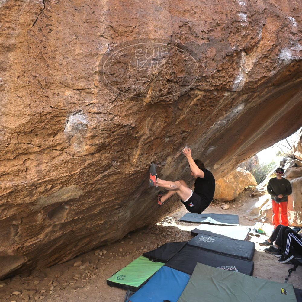 Filename: SRM_20230129_1210290.jpg
Aperture: f/5.6
Shutter Speed: 1/1000
Body: Canon EOS R6
Lens: Canon EF 16-35mm f/2.8 L