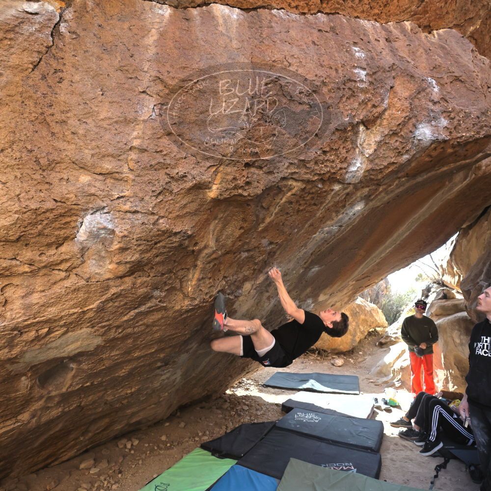 Filename: SRM_20230129_1210310.jpg
Aperture: f/5.6
Shutter Speed: 1/1000
Body: Canon EOS R6
Lens: Canon EF 16-35mm f/2.8 L