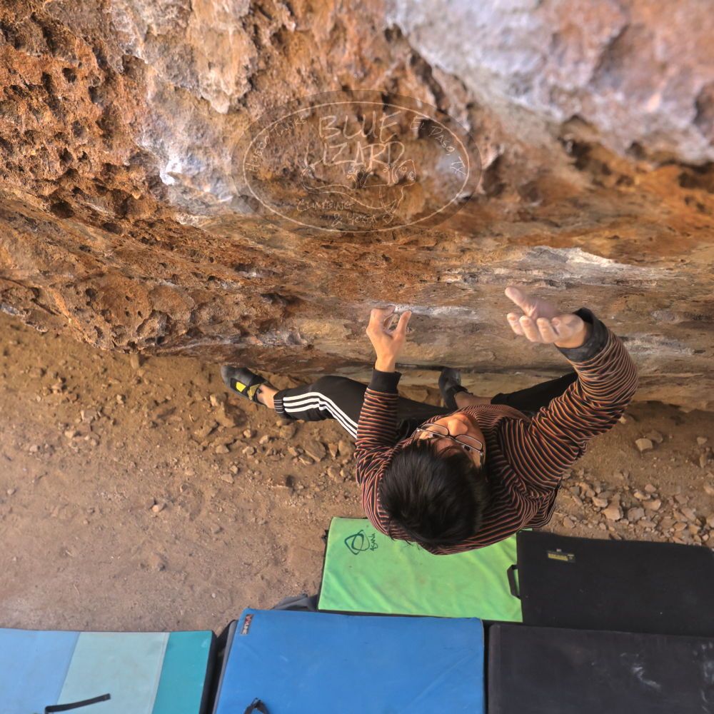 Filename: SRM_20230129_1229170.jpg
Aperture: f/5.6
Shutter Speed: 1/640
Body: Canon EOS R6
Lens: Canon EF 16-35mm f/2.8 L