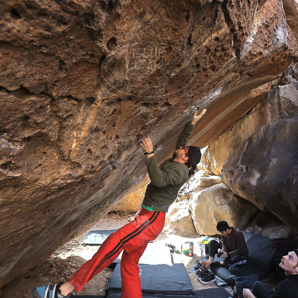 Filename: SRM_20230129_1233050.jpg
Aperture: f/5.6
Shutter Speed: 1/640
Body: Canon EOS R6
Lens: Canon EF 16-35mm f/2.8 L