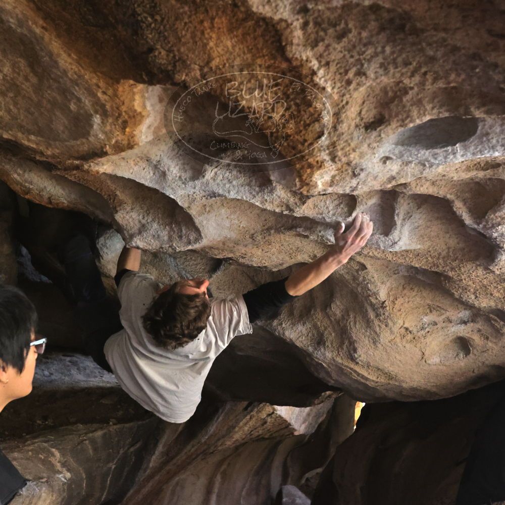 

Filename: SRM_20230129_1337220.jpg
Aperture: f/5.6
Shutter Speed: 1/640
Body: Canon EOS R6
Lens: Canon EF 16-35mm f/2.8 L