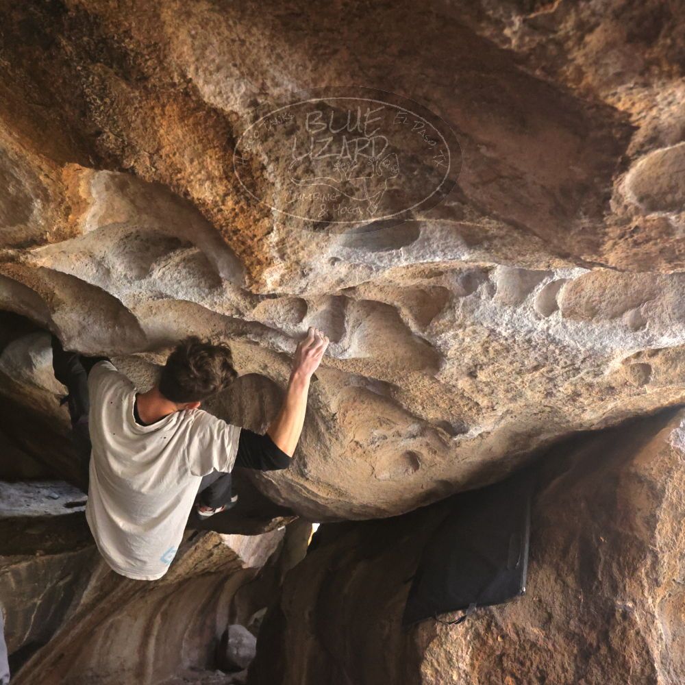 Filename: SRM_20230129_1337380.jpg
Aperture: f/5.6
Shutter Speed: 1/640
Body: Canon EOS R6
Lens: Canon EF 16-35mm f/2.8 L