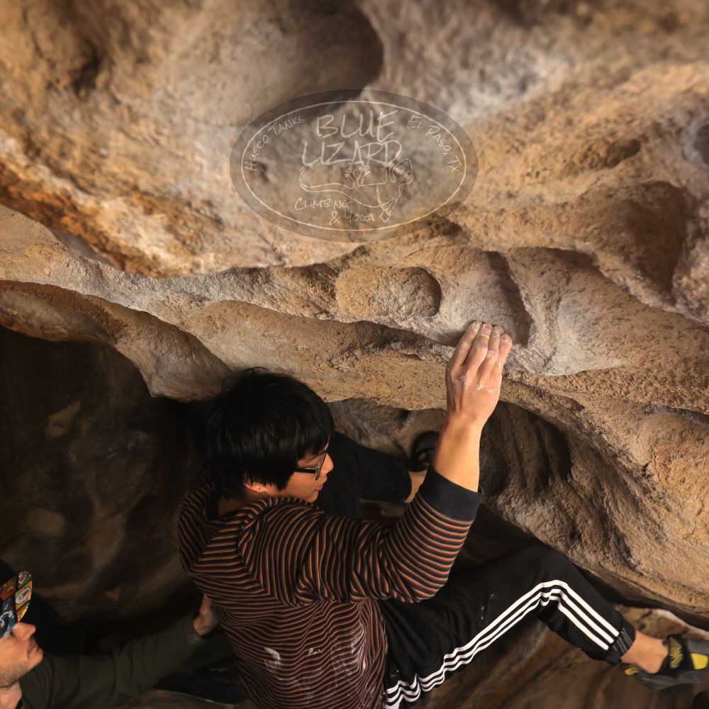 Filename: SRM_20230129_1347490.jpg
Aperture: f/4.0
Shutter Speed: 1/250
Body: Canon EOS R6
Lens: Canon EF 16-35mm f/2.8 L