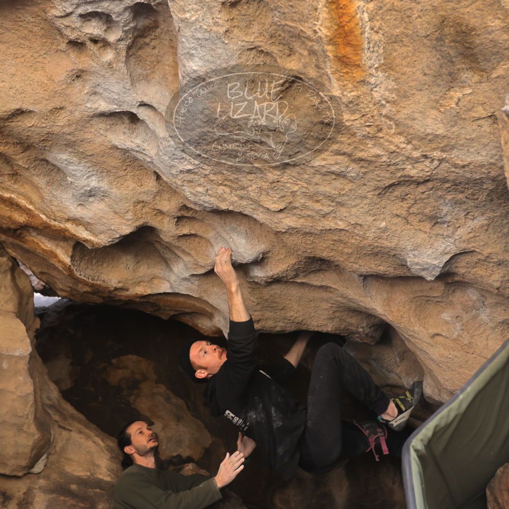 Filename: SRM_20230129_1352100.jpg
Aperture: f/4.0
Shutter Speed: 1/250
Body: Canon EOS R6
Lens: Canon EF 16-35mm f/2.8 L