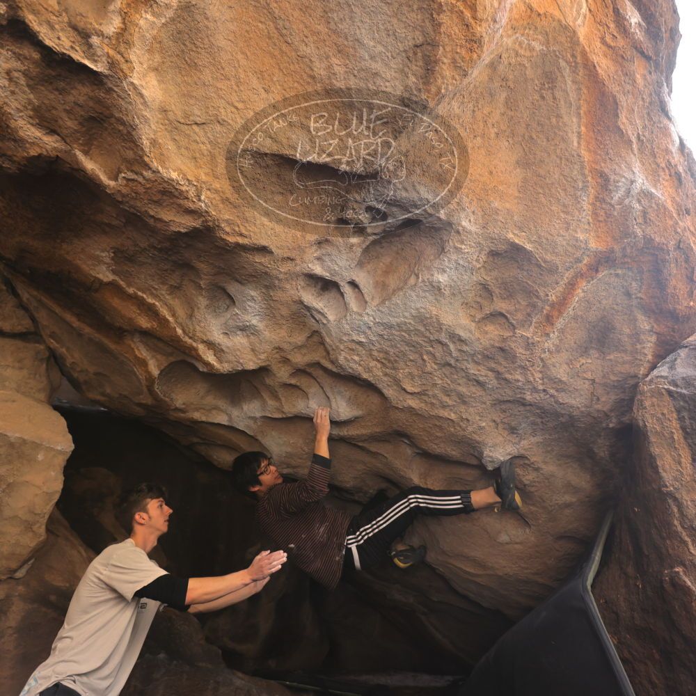 Filename: SRM_20230129_1355470.jpg
Aperture: f/4.0
Shutter Speed: 1/250
Body: Canon EOS R6
Lens: Canon EF 16-35mm f/2.8 L