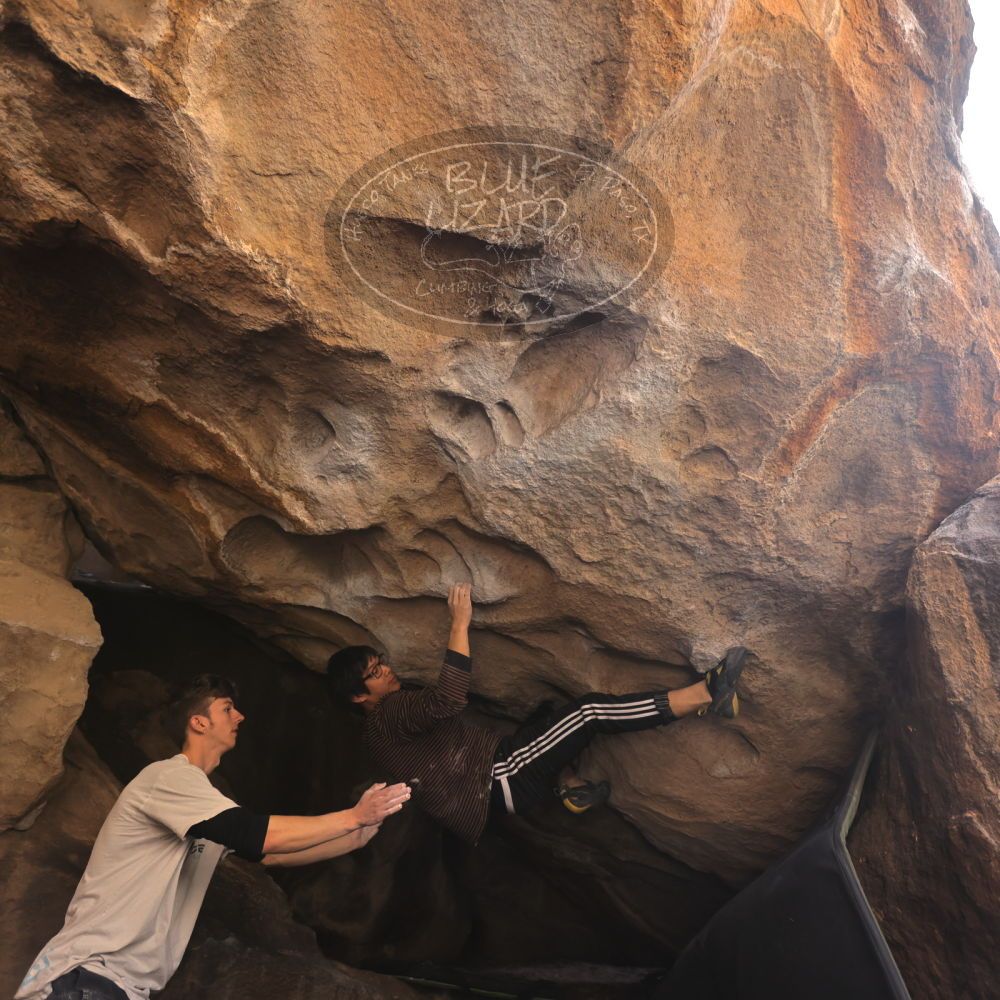 Filename: SRM_20230129_1355471.jpg
Aperture: f/4.0
Shutter Speed: 1/250
Body: Canon EOS R6
Lens: Canon EF 16-35mm f/2.8 L