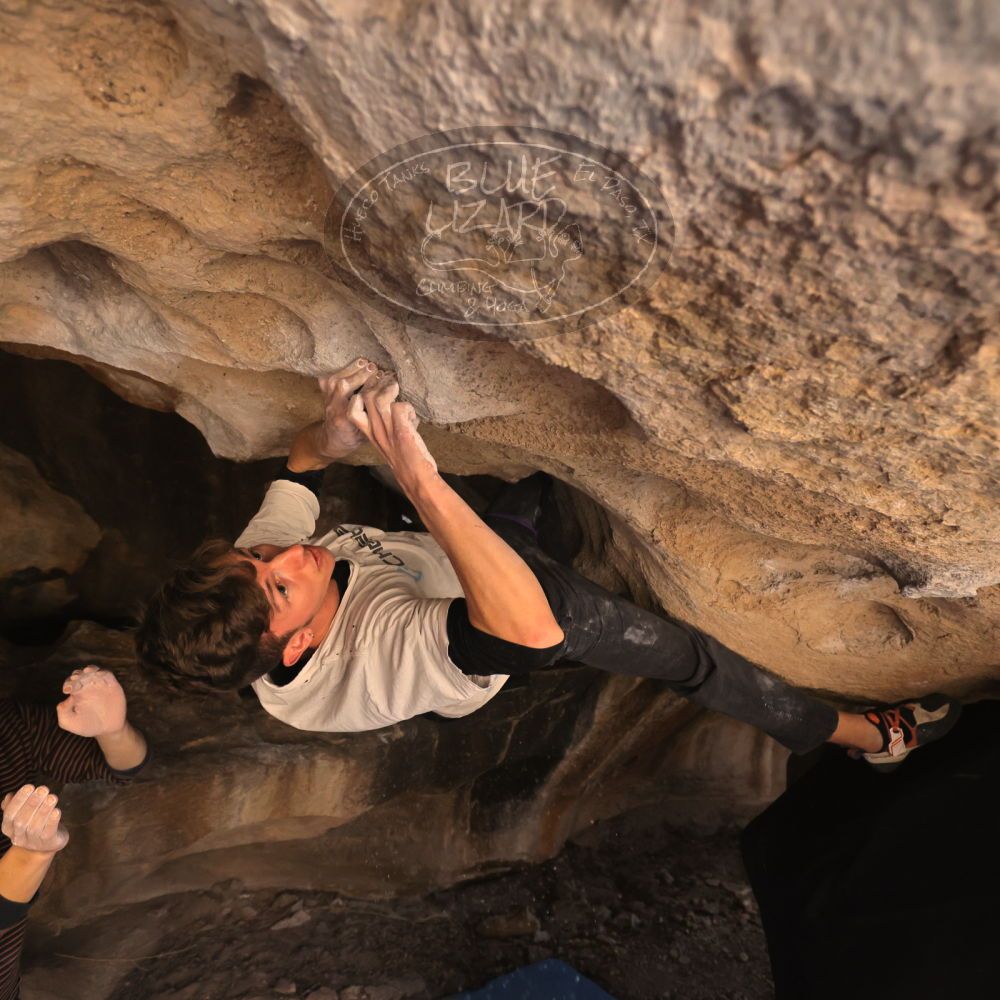 Filename: SRM_20230129_1400520.jpg
Aperture: f/4.0
Shutter Speed: 1/250
Body: Canon EOS R6
Lens: Canon EF 16-35mm f/2.8 L