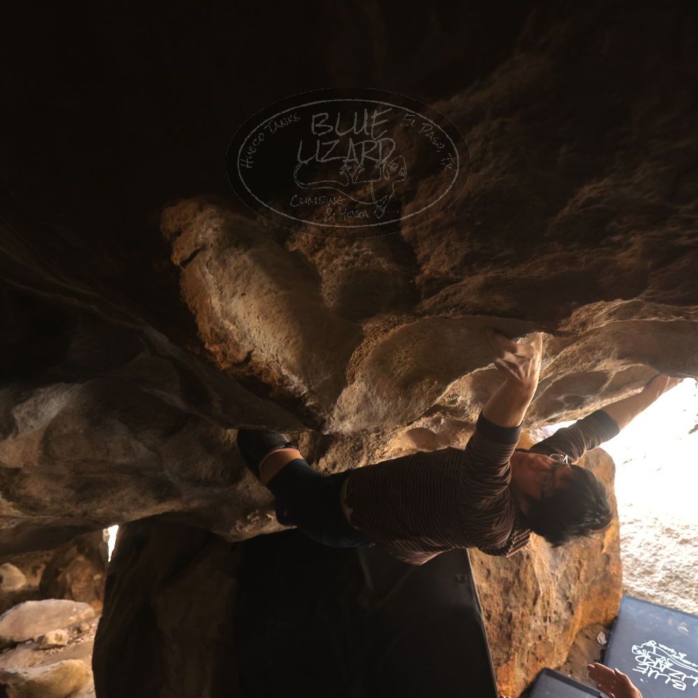 Filename: SRM_20230129_1409510.jpg
Aperture: f/4.0
Shutter Speed: 1/250
Body: Canon EOS R6
Lens: Canon EF 16-35mm f/2.8 L