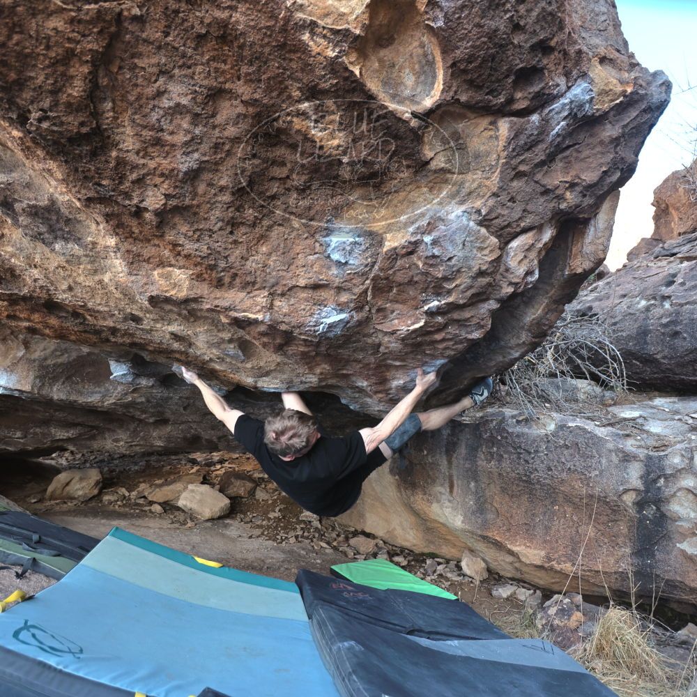 Filename: SRM_20230129_1514290.jpg
Aperture: f/4.0
Shutter Speed: 1/250
Body: Canon EOS R6
Lens: Canon EF 16-35mm f/2.8 L