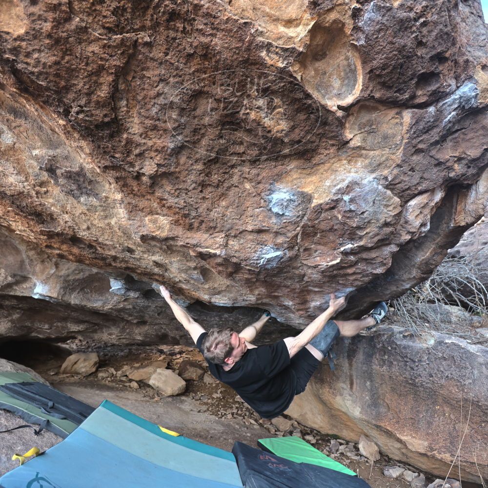 Filename: SRM_20230129_1514340.jpg
Aperture: f/4.0
Shutter Speed: 1/250
Body: Canon EOS R6
Lens: Canon EF 16-35mm f/2.8 L