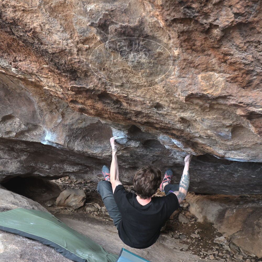 Filename: SRM_20230129_1523450.jpg
Aperture: f/6.3
Shutter Speed: 1/400
Body: Canon EOS R6
Lens: Canon EF 16-35mm f/2.8 L