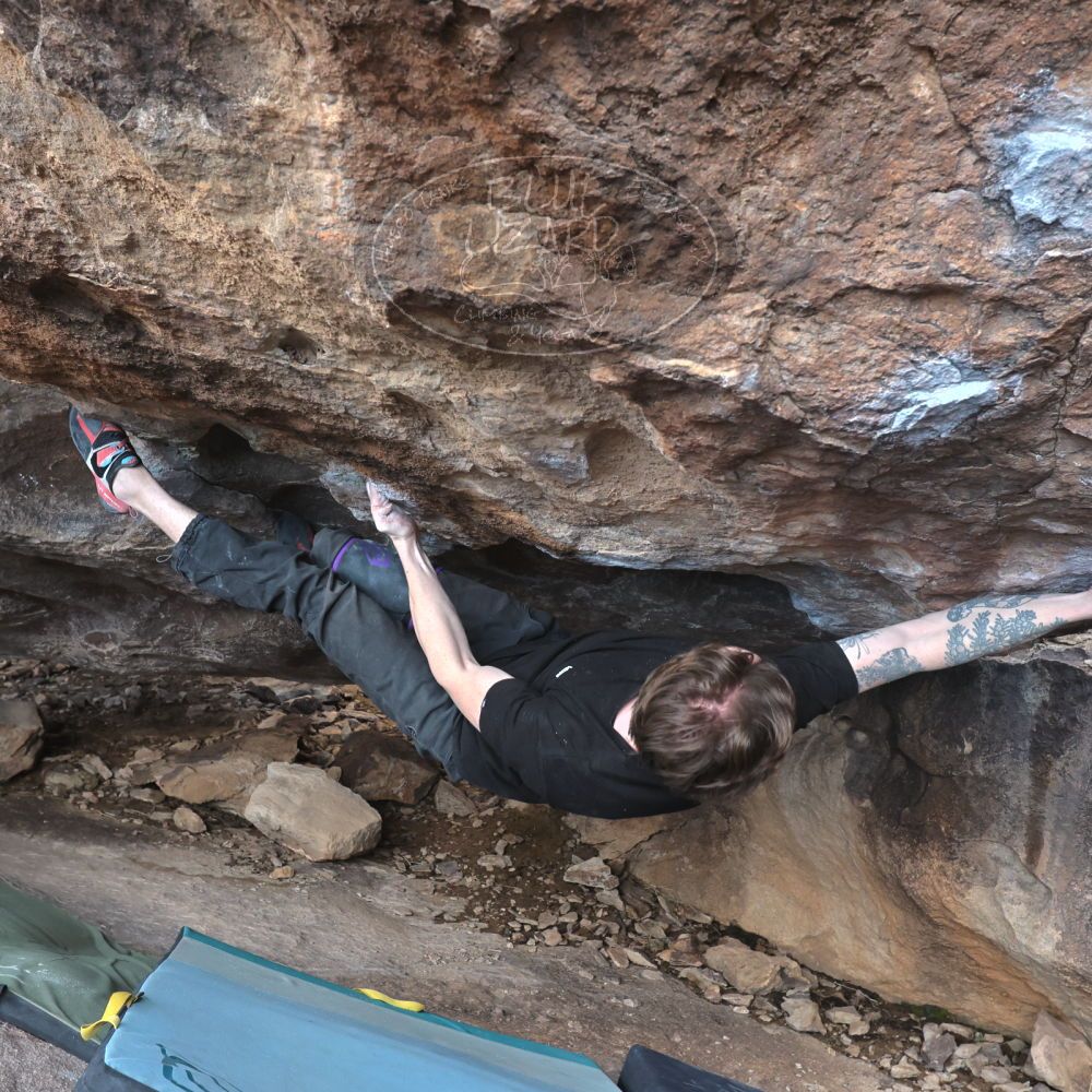 

Filename: SRM_20230129_1523570.jpg
Aperture: f/6.3
Shutter Speed: 1/400
Body: Canon EOS R6
Lens: Canon EF 16-35mm f/2.8 L