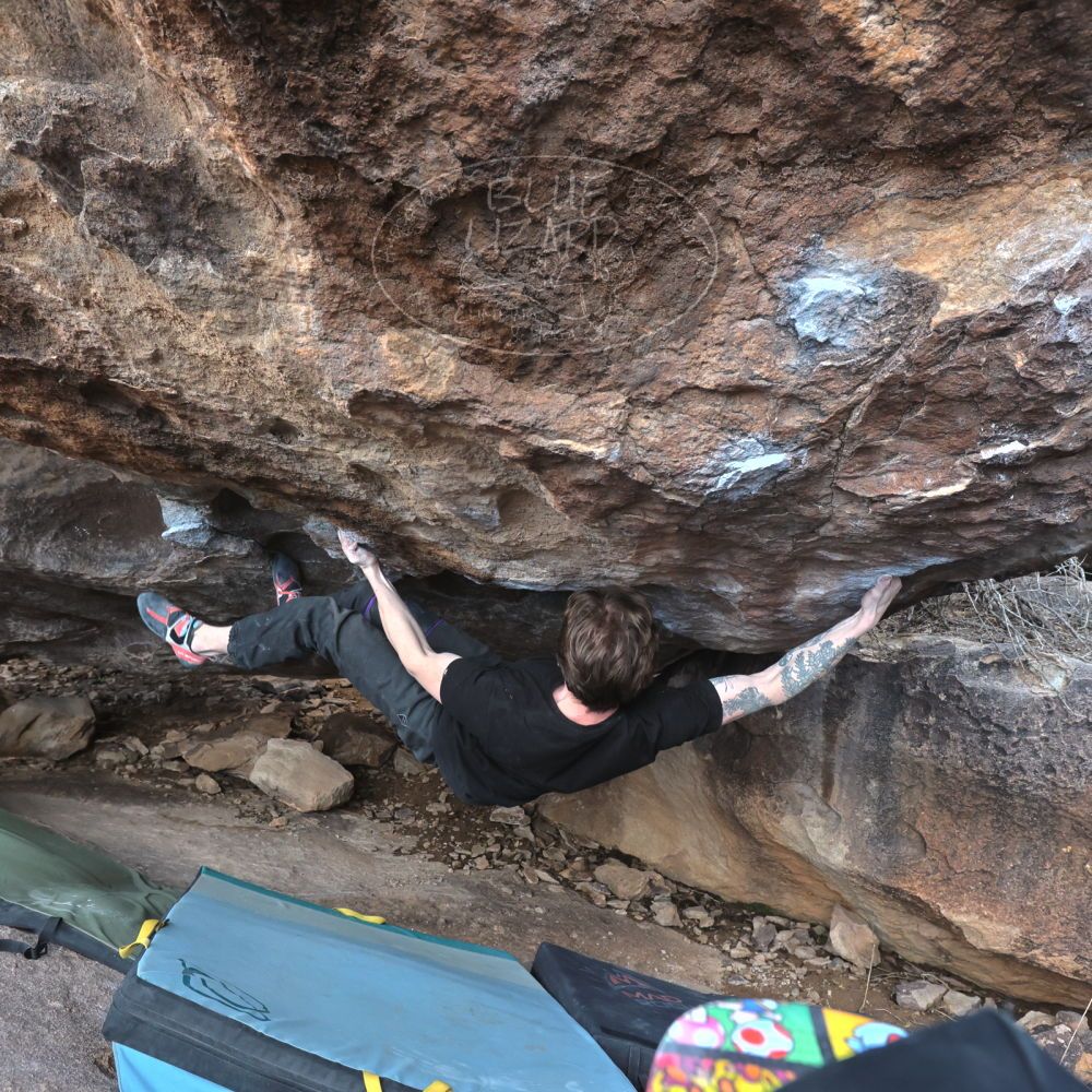 Filename: SRM_20230129_1523580.jpg
Aperture: f/6.3
Shutter Speed: 1/400
Body: Canon EOS R6
Lens: Canon EF 16-35mm f/2.8 L