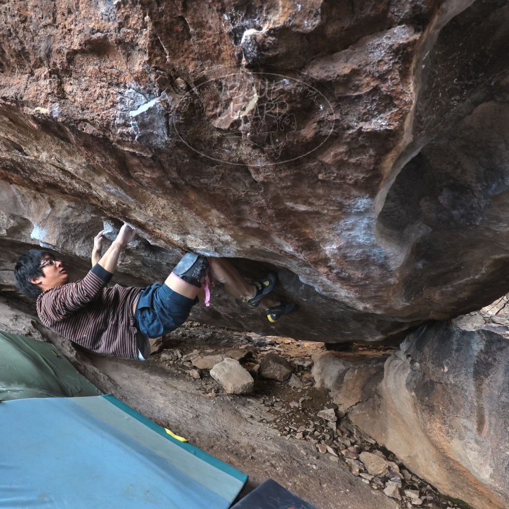 Filename: SRM_20230129_1525060.jpg
Aperture: f/6.3
Shutter Speed: 1/400
Body: Canon EOS R6
Lens: Canon EF 16-35mm f/2.8 L