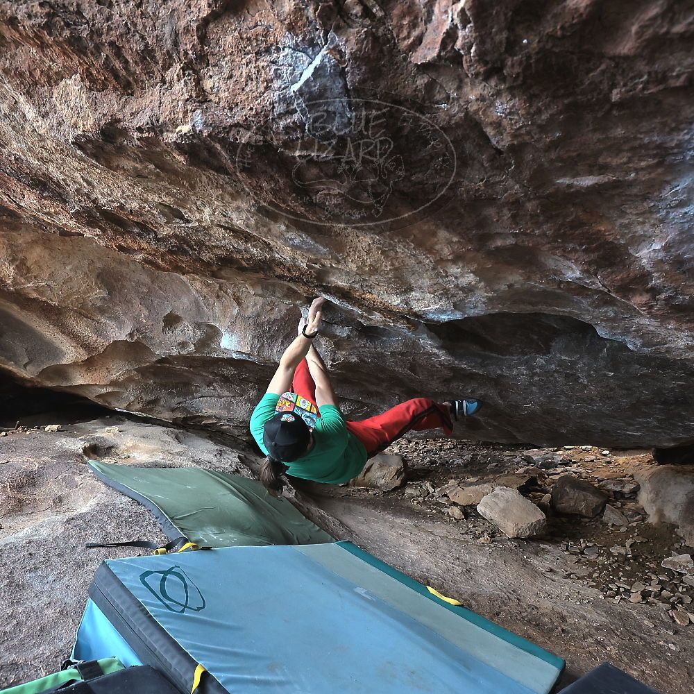 Filename: SRM_20230129_1526040.jpg
Aperture: f/6.3
Shutter Speed: 1/400
Body: Canon EOS R6
Lens: Canon EF 16-35mm f/2.8 L