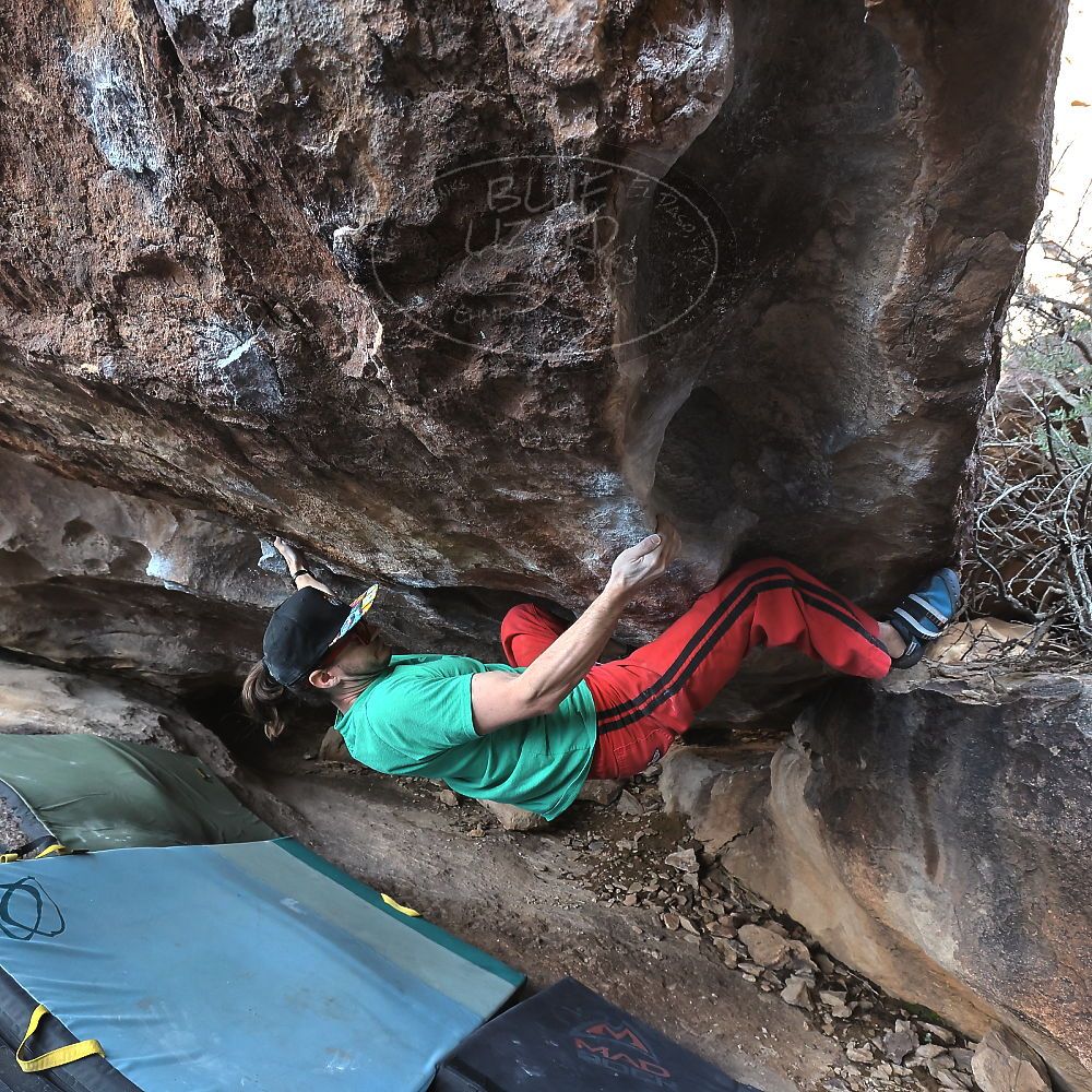 Filename: SRM_20230129_1526270.jpg
Aperture: f/6.3
Shutter Speed: 1/400
Body: Canon EOS R6
Lens: Canon EF 16-35mm f/2.8 L