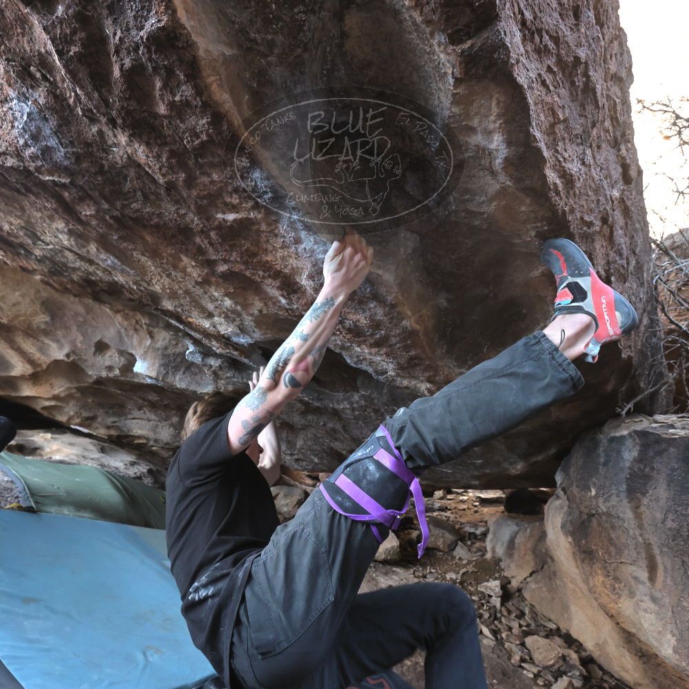 Filename: SRM_20230129_1529030.jpg
Aperture: f/6.3
Shutter Speed: 1/400
Body: Canon EOS R6
Lens: Canon EF 16-35mm f/2.8 L