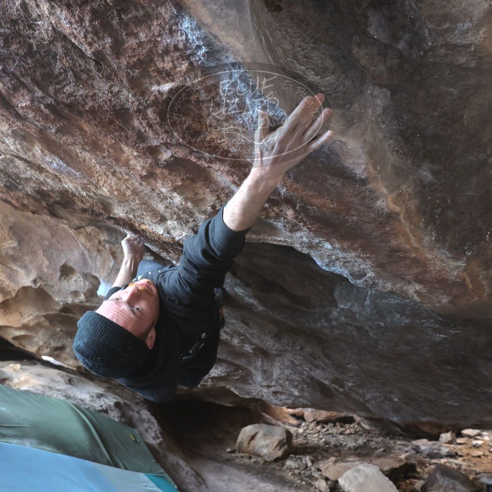 Filename: SRM_20230129_1530121.jpg
Aperture: f/5.6
Shutter Speed: 1/400
Body: Canon EOS R6
Lens: Canon EF 16-35mm f/2.8 L