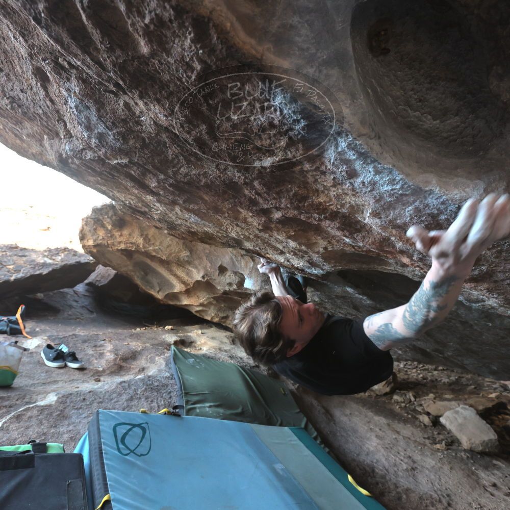 Filename: SRM_20230129_1533450.jpg
Aperture: f/5.6
Shutter Speed: 1/400
Body: Canon EOS R6
Lens: Canon EF 16-35mm f/2.8 L