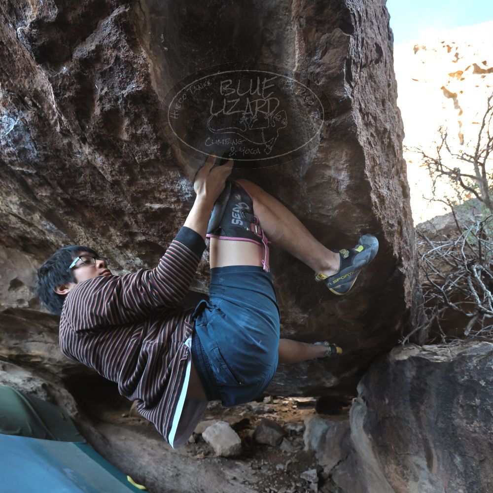 Filename: SRM_20230129_1535310.jpg
Aperture: f/5.6
Shutter Speed: 1/400
Body: Canon EOS R6
Lens: Canon EF 16-35mm f/2.8 L