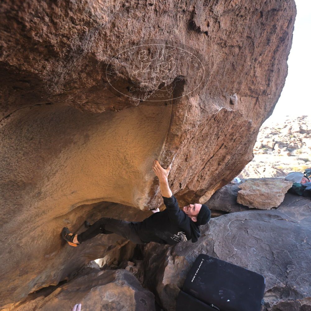 Filename: SRM_20230129_1541192.jpg
Aperture: f/5.6
Shutter Speed: 1/400
Body: Canon EOS R6
Lens: Canon EF 16-35mm f/2.8 L